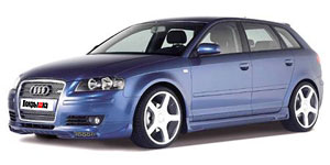 Шины для Audi