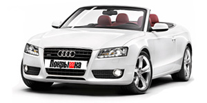 Шины для Audi