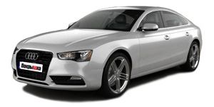 Шины для Audi