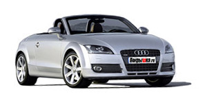 Шины для Audi