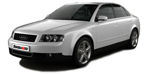 Шины для Audi