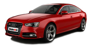 Шины для Audi