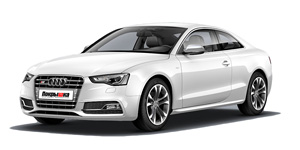 Шины для Audi