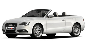 Шины для Audi