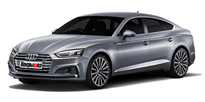 Шины для Audi