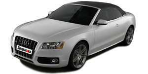 Шины для Audi