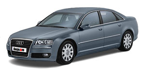 Шины для Audi