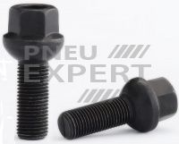 Фото Imagine FARAD BSF543R14 BLK M14x1.5x43 S17 in online magazin Pneuexpert.md